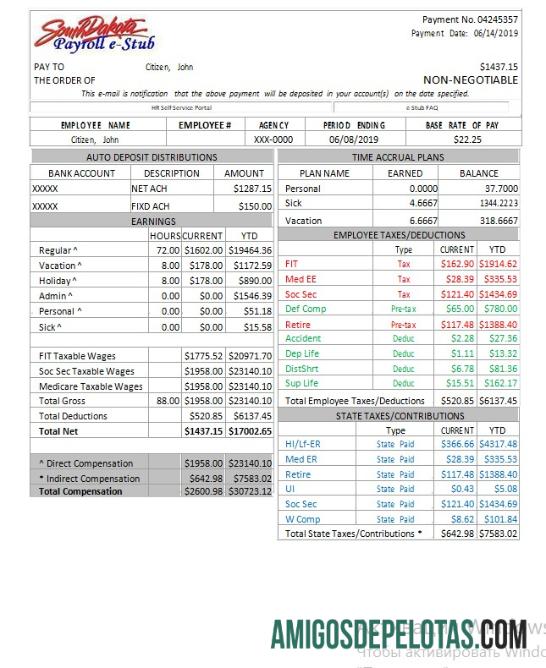Folha de pagamento E Stub dos EUA Dakota do Sul, palavra e PDF baixar para verificação